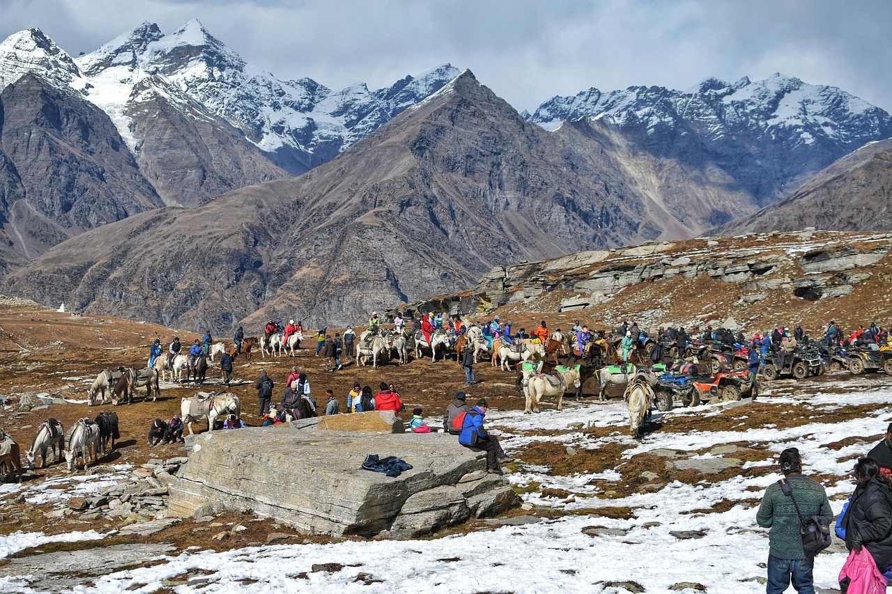 Arrival in Manali + Local Sightseeing