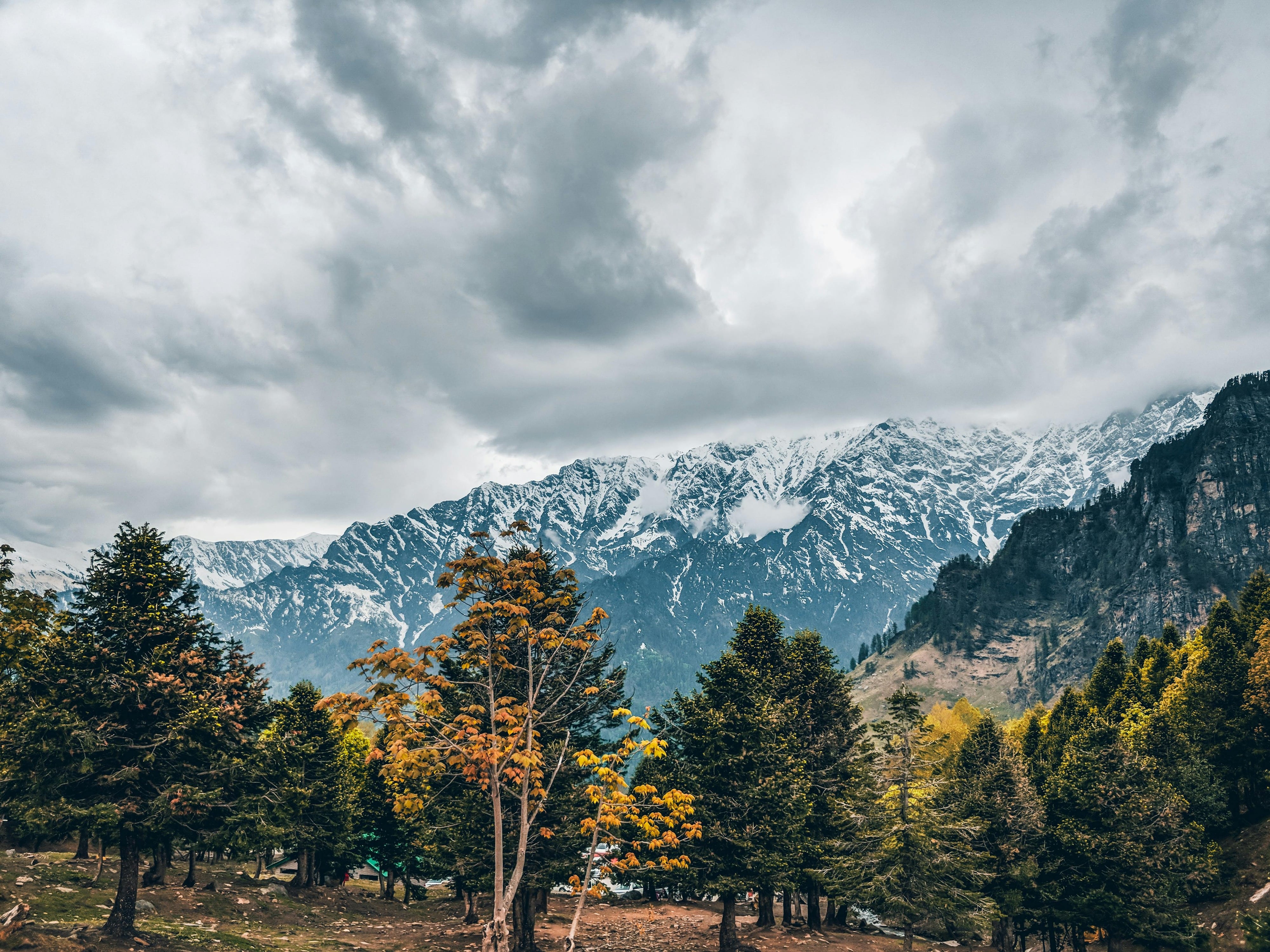Naggar & Kullu Excursion